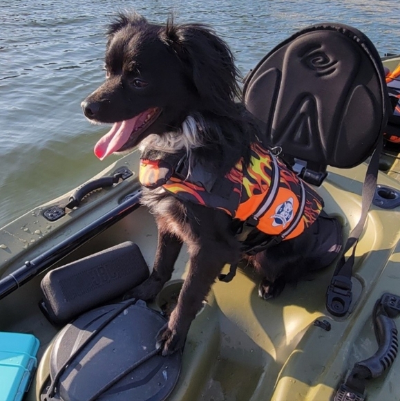 ⭐️SHOW NOTIFICATION-Like to be Notified⭐️ - Picture 16 of 17